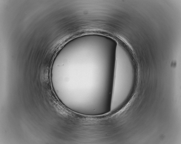X0000089660777200706210729