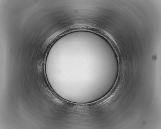 X0000089660778200706210729
