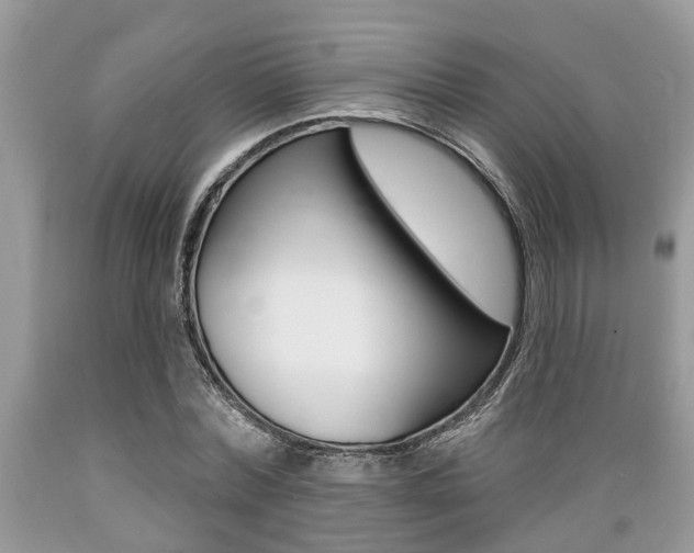 X0000089660780200706210729