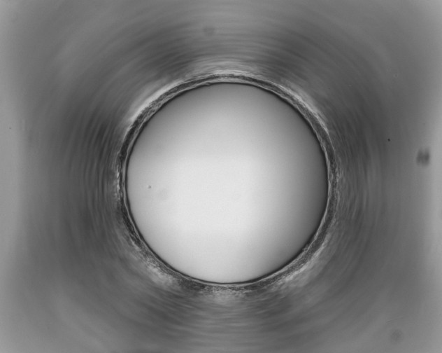 X0000089660782200706210729