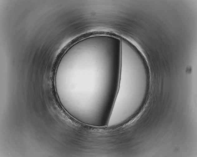 X0000089660783200706210729