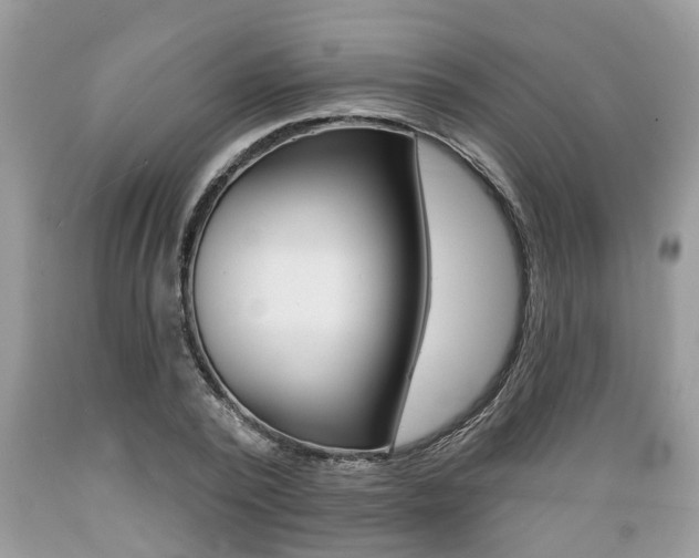 X0000089660784200706210729
