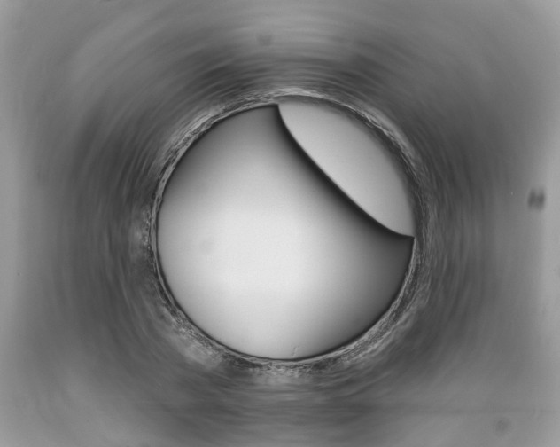 X0000089660785200706210729