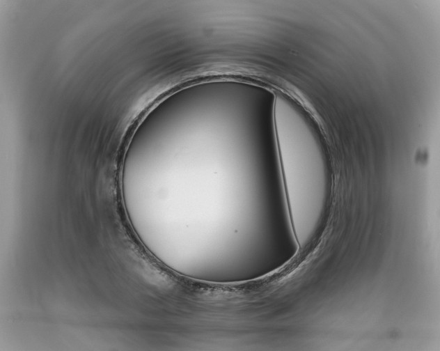 X0000089660786200706210729