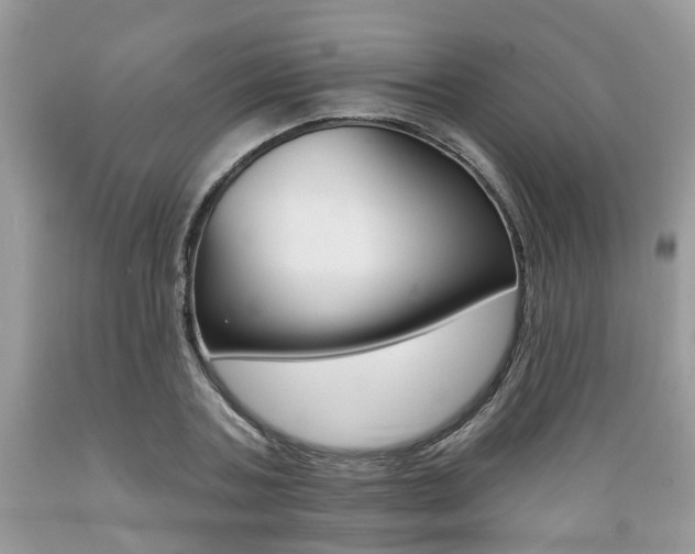 X0000089660787200706210729