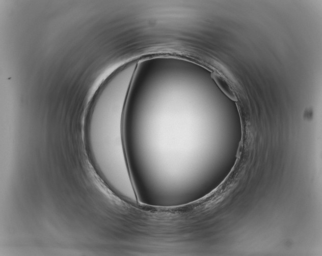 X0000089660788200706210729