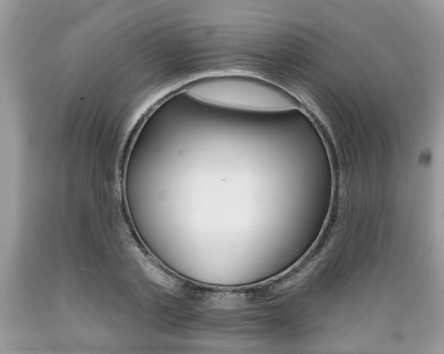 X0000089660789200706210729