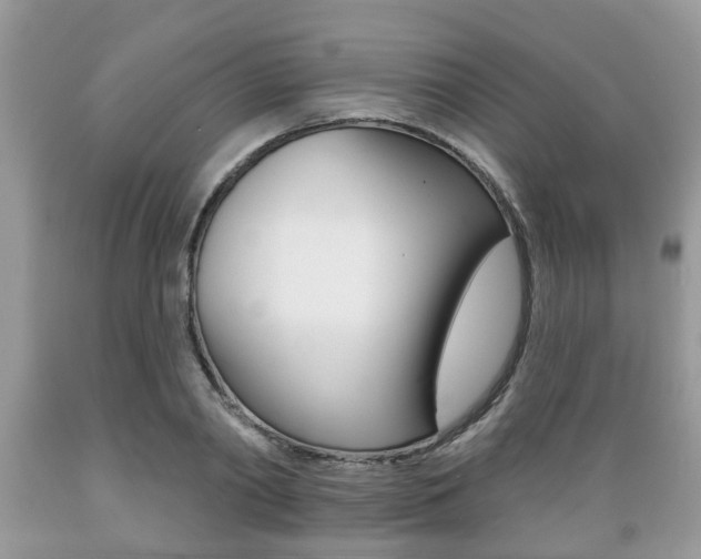 X0000089660790200706210729