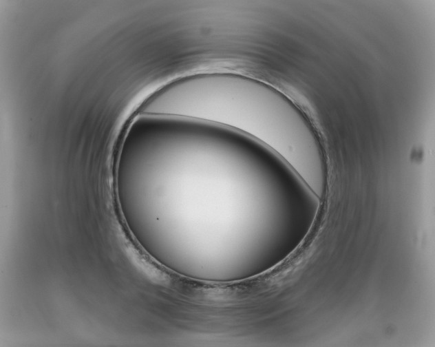 X0000089660792200706210729