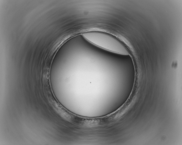 X0000089660793200706210729