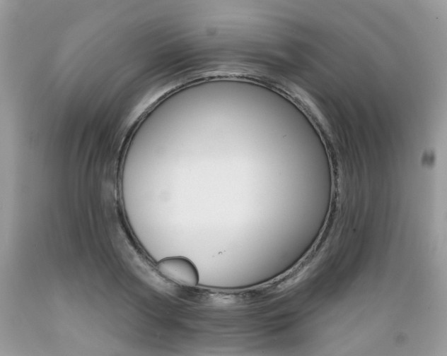 X0000089660794200706210729