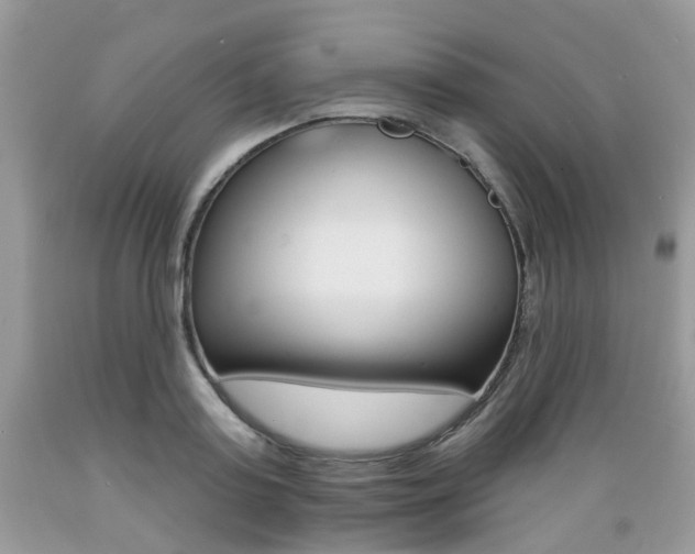 X0000089660795200706210729