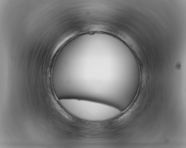 X0000089660798200706210729