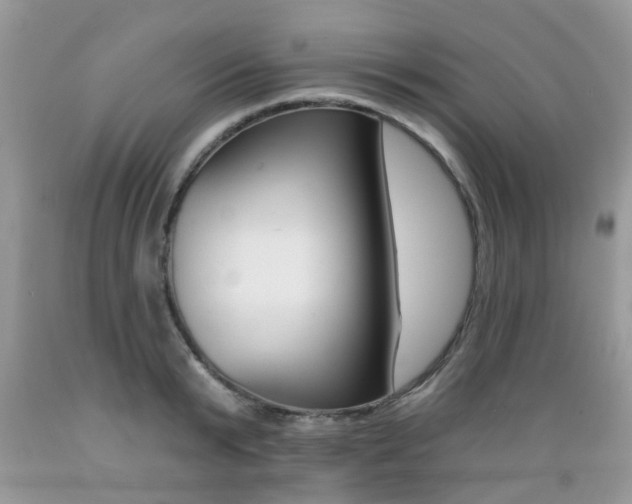 X0000089660799200706210729