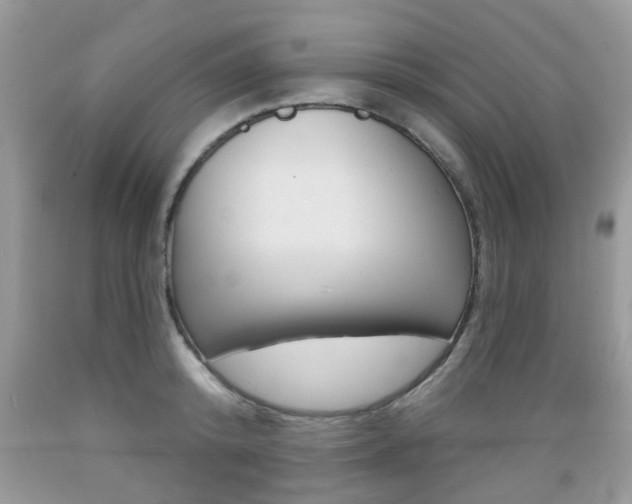 X0000089660800200706210729