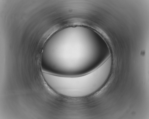 X0000089660801200706210729