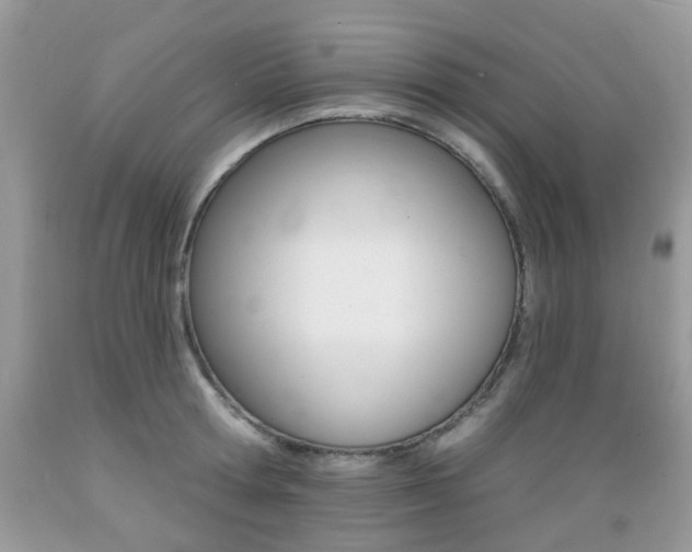 X0000089660802200706210729