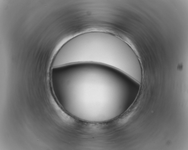 X0000089660803200706210729