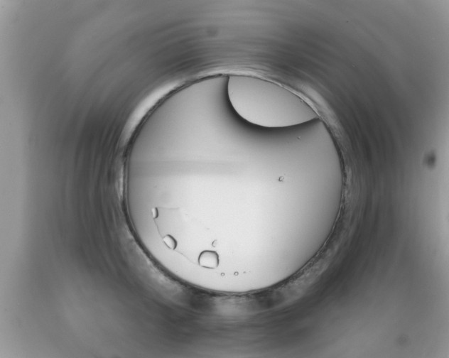 X0000089660804200706210729