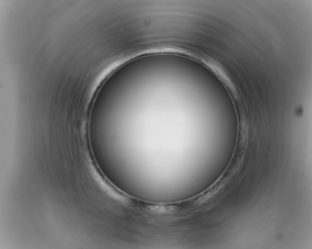 X0000089660805200706210729