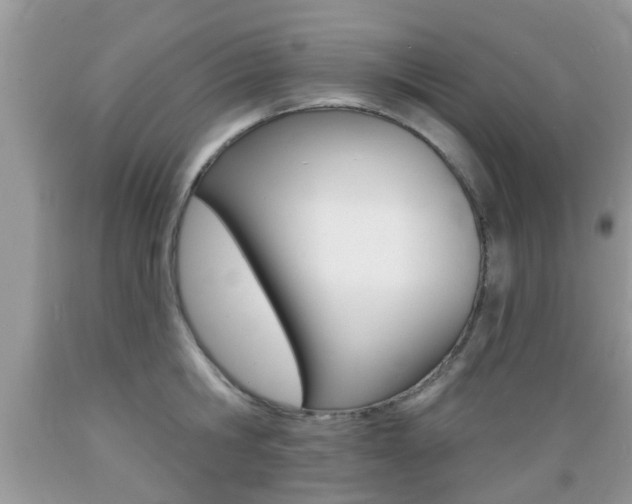 X0000089660806200706210729
