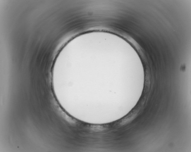 X0000089660807200706210729