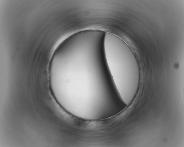 X0000089660808200706210729
