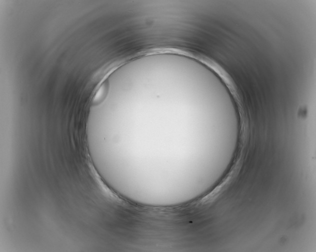 X0000089660809200706210729