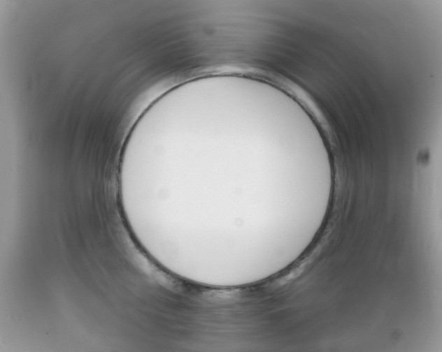 X0000089660810200706210729