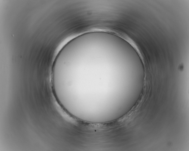 X0000089660811200706210729