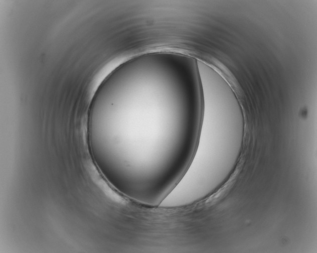 X0000089660812200706210729
