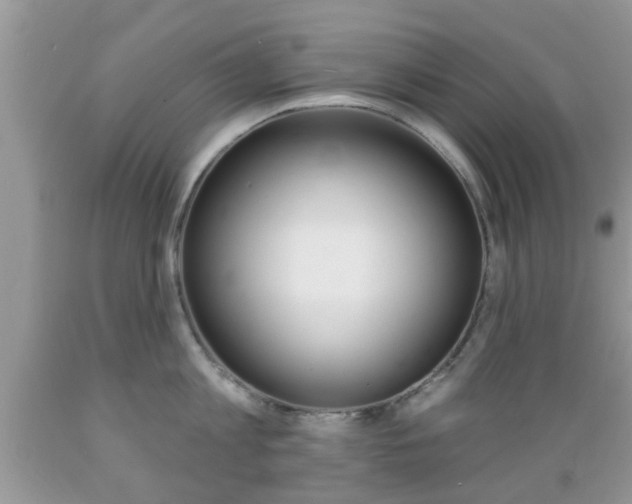 X0000089660813200706210729