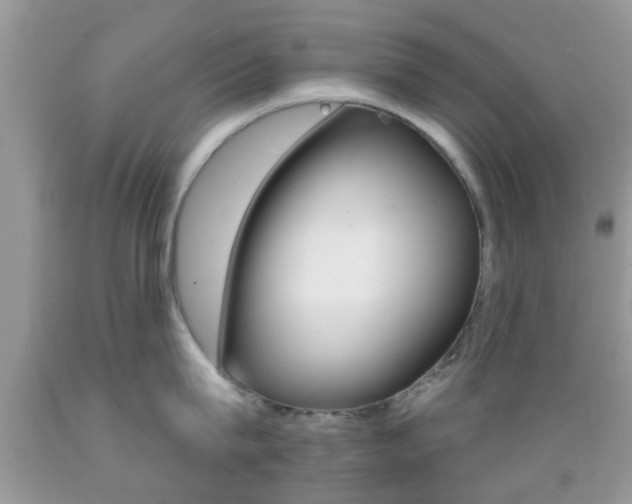 X0000089660815200706210729