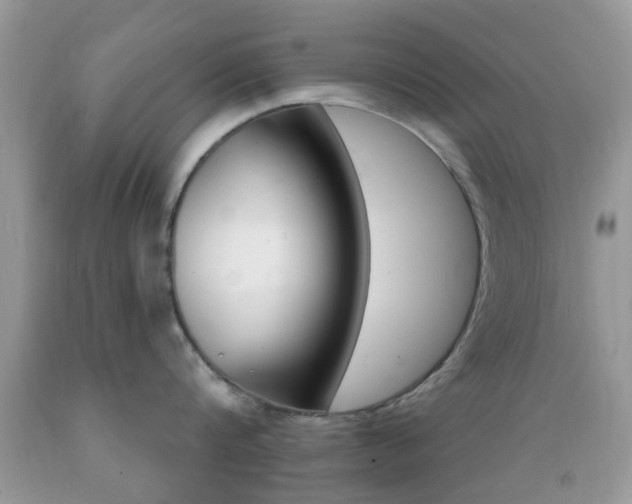 X0000089660816200706210729