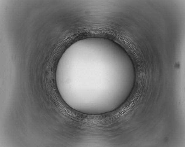 X0000089660817200706210728