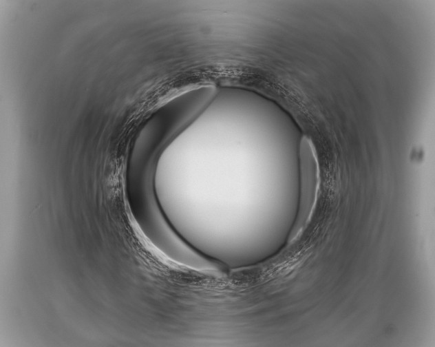 X0000089660818200706210728
