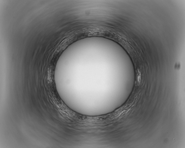 X0000089660819200706210728