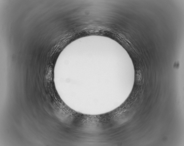 X0000089660820200706210728