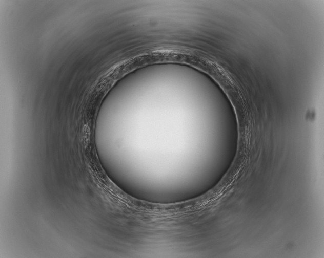 X0000089660821200706210728