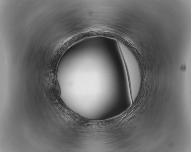 X0000089660822200706210728