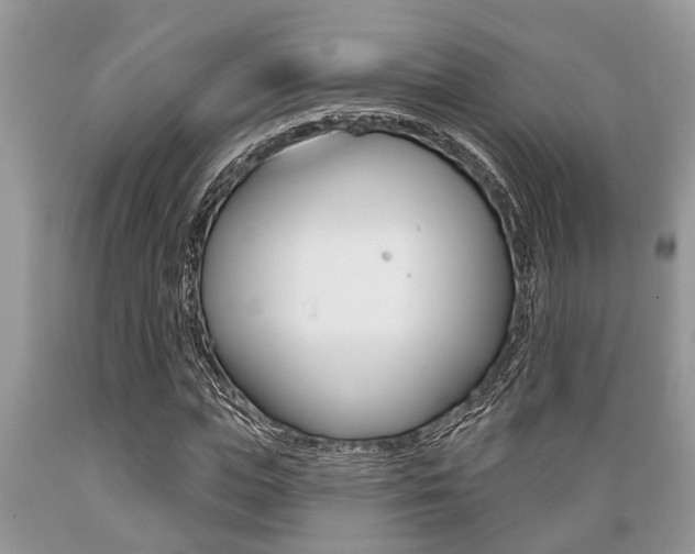 X0000089660823200706210728