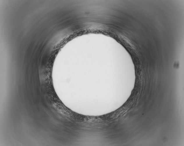 X0000089660824200706210728