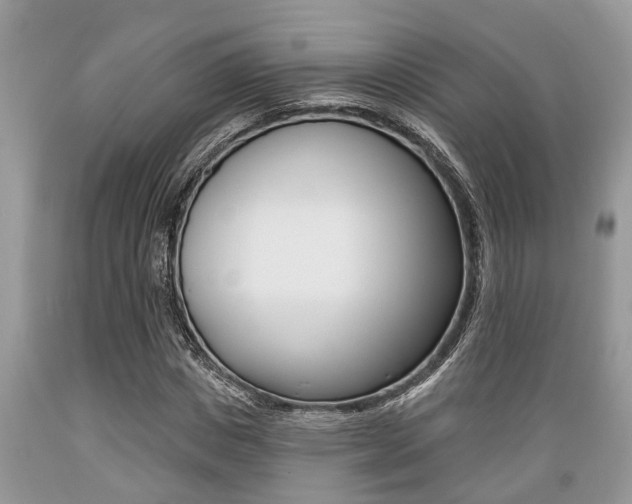 X0000089660825200706210728