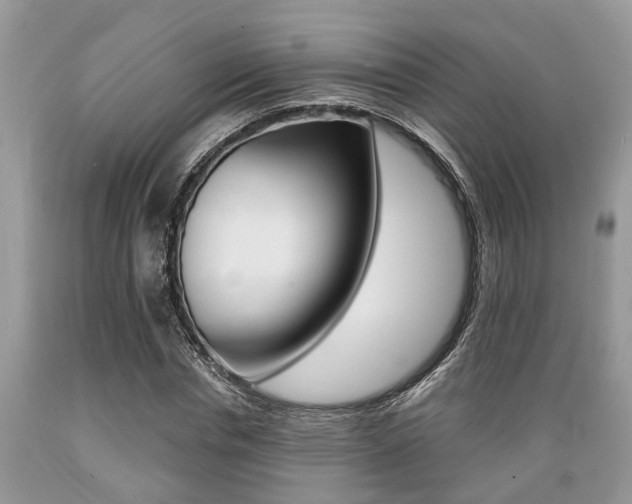 X0000089660826200706210728