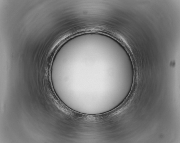 X0000089660827200706210728