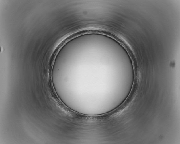 X0000089660829200706210728