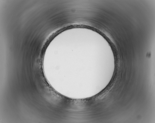 X0000089660832200706210728