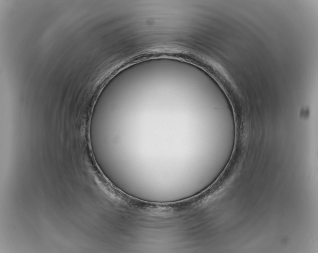 X0000089660833200706210728