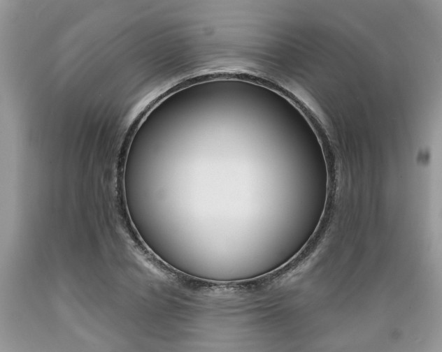 X0000089660834200706210728