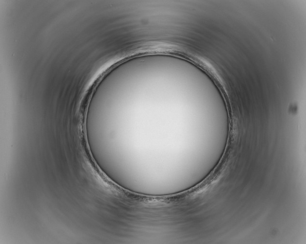 X0000089660835200706210728